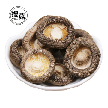 Chine fournisseur personnalisé sain bio shiitake séché champignons